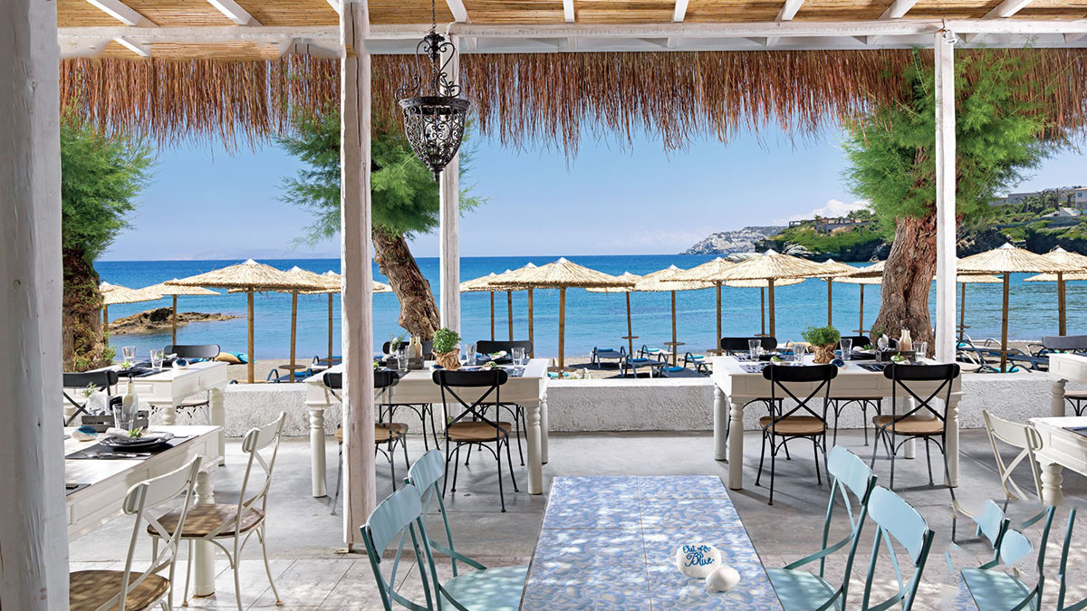 Out of the Blue Resort 